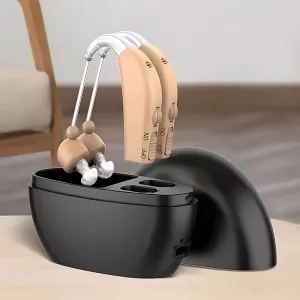 hearing aid, hearing amplifier, rechargeable hearing aid, digital hearing aid, noise reduction hearing aid