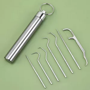 stainless steel toothpick set, stainless steel toothpicks pocket set